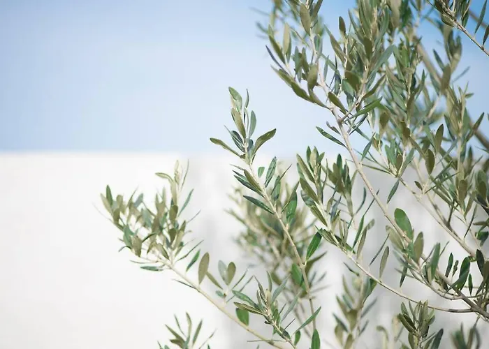 Apartman Casa Cuore Modern Near The Sea Káto Ássos