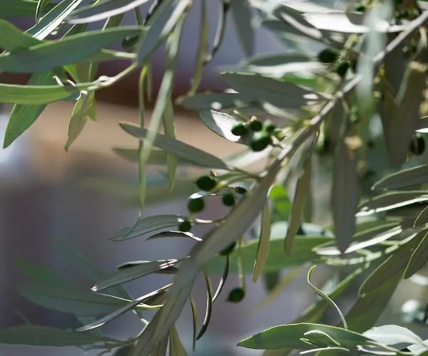 Apartman Casa Cuore Modern Near The Sea Káto Ássos